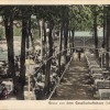 1909 - Postkarte Berlin Köpenick Grünau, Gesellschaftshaus C.Ohlrich - 270082