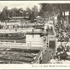 1922 im Biergarten des Gesellschaftshaus - zukunftingruenau.eu